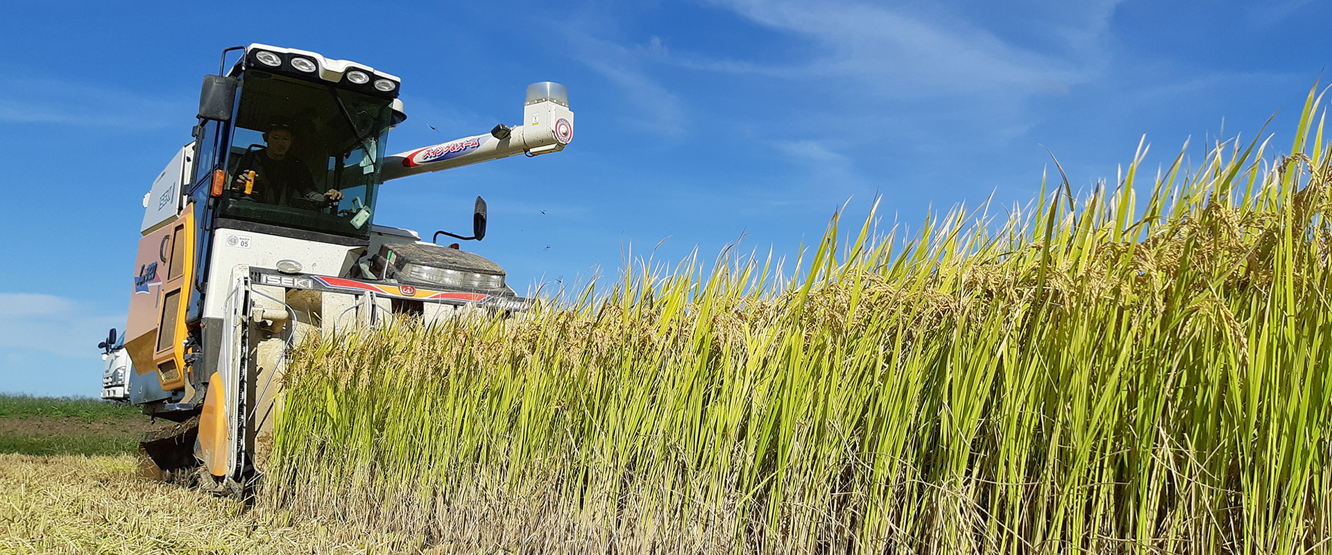 PDCAサイクルを回して収量と品質の向上に努め、求められる米を安定供給。
